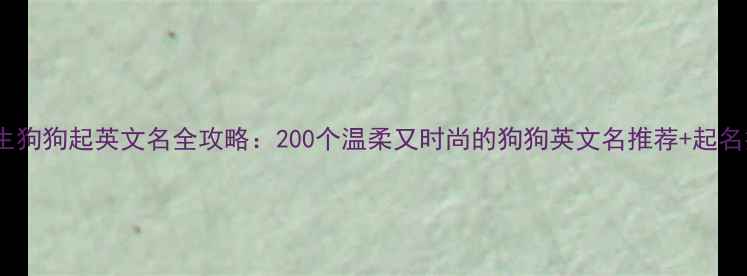 图片 给女生狗狗起英文名全攻略：200个温柔又时尚的狗狗英文名推荐+起名技巧2