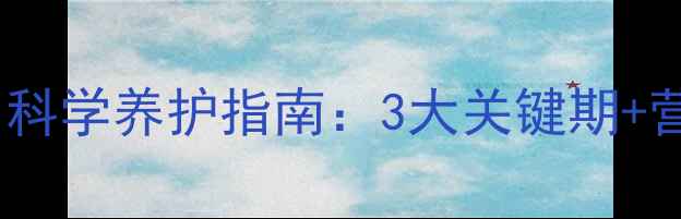 图片 罗威纳幼犬几个月不长个？科学养护指南：3大关键期+营养方案（附发育标准表）1