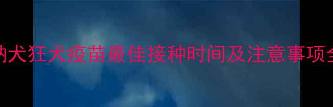 图片 罗威纳犬狂犬疫苗最佳接种时间及注意事项全攻略