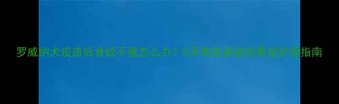 图片 罗威纳犬疫苗后食欲不振怎么办？5天恢复食欲的黄金护理指南