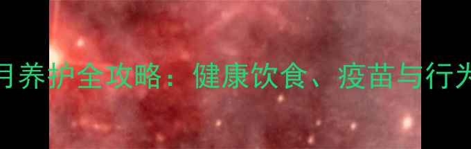 图片 茶杯犬2个月养护全攻略：健康饮食、疫苗与行为训练指南2