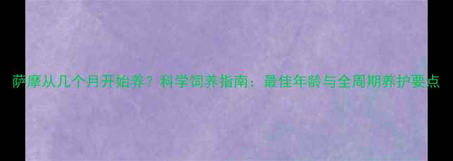 图片 萨摩从几个月开始养？科学饲养指南：最佳年龄与全周期养护要点