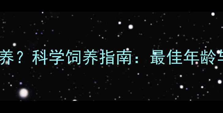 图片 萨摩从几个月开始养？科学饲养指南：最佳年龄与全周期养护要点1