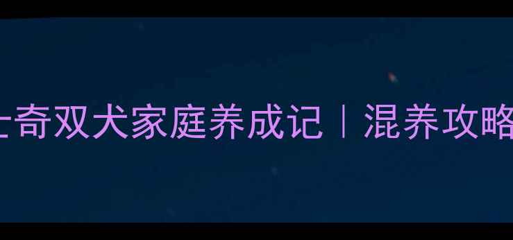 图片 萨摩耶+哈士奇双犬家庭养成记｜混养攻略+避坑指南2