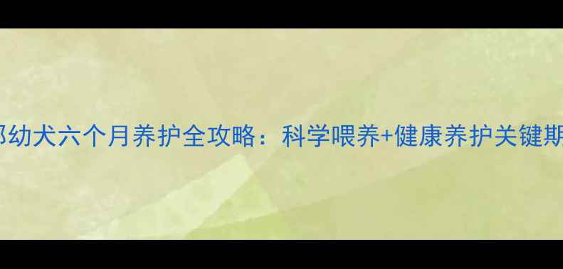图片 萨摩耶幼犬六个月养护全攻略：科学喂养+健康养护关键期指南1