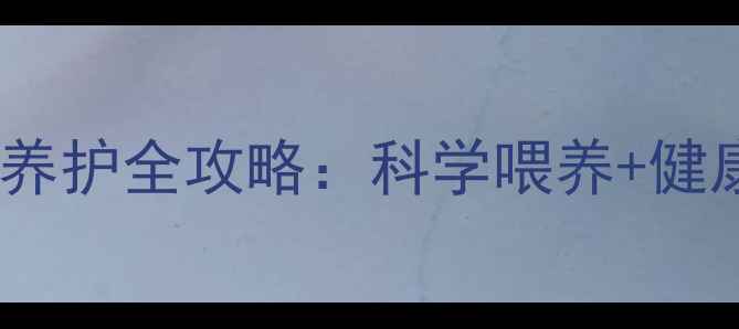 图片 萨摩耶幼犬六个月养护全攻略：科学喂养+健康养护关键期指南2