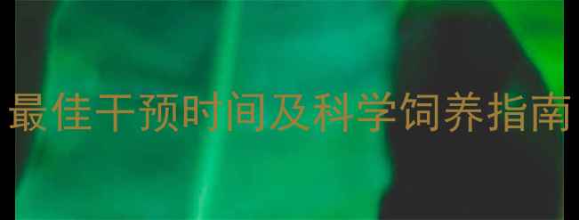 图片 虎斑猫发情期全：最佳干预时间及科学饲养指南（附月龄对照表）