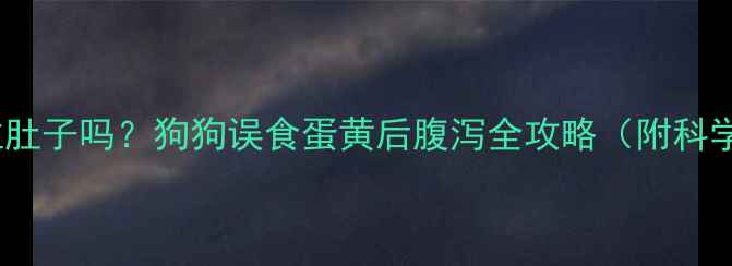 图片 蛋黄吃了会拉肚子吗？狗狗误食蛋黄后腹泻全攻略（附科学处理方案）2