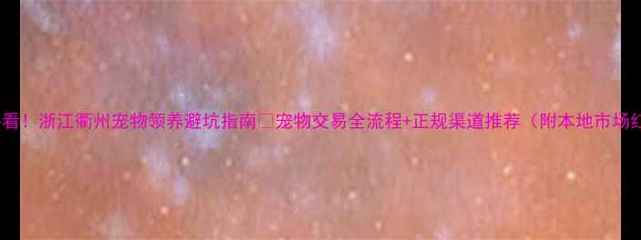 图片 衢州人必看！浙江衢州宠物领养避坑指南🐾宠物交易全流程+正规渠道推荐（附本地市场红黑榜）2