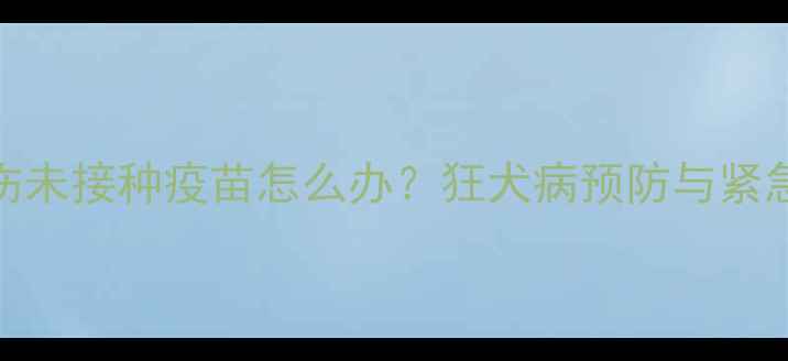 图片 被宠物狗抓伤未接种疫苗怎么办？狂犬病预防与紧急处理全指南