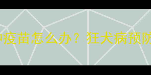 图片 被宠物狗抓伤未接种疫苗怎么办？狂犬病预防与紧急处理全指南1