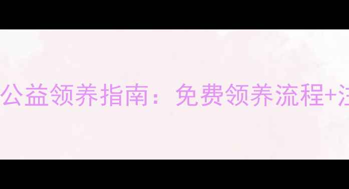 图片 西安泰迪犬公益领养指南：免费领养流程+注意事项全1