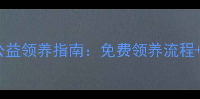 图片 西安泰迪犬公益领养指南：免费领养流程+注意事项全2