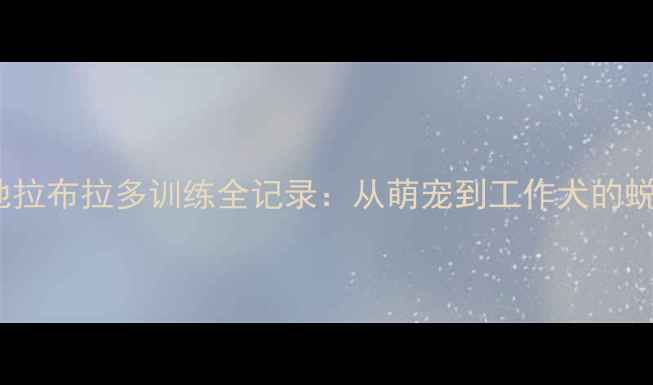 图片 警犬基地拉布拉多训练全记录：从萌宠到工作犬的蜕变之路2