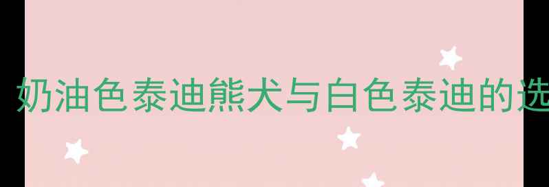 图片 贵宾犬颜色对比指南：奶油色泰迪熊犬与白色泰迪的选购全（附养护秘籍）1