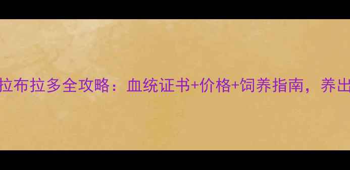 图片 贵族血统拉布拉多全攻略：血统证书+价格+饲养指南，养出完美犬只