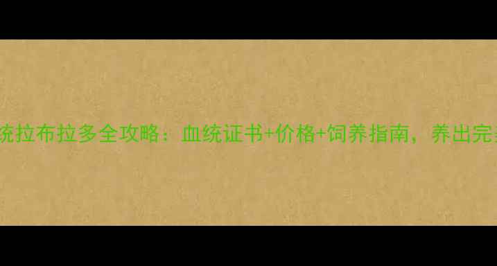 图片 贵族血统拉布拉多全攻略：血统证书+价格+饲养指南，养出完美犬只1