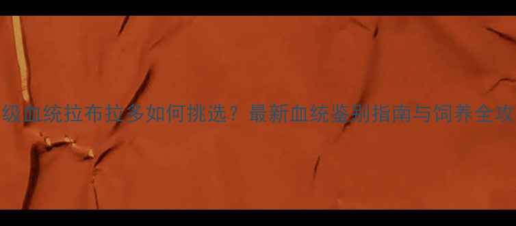 图片 赛级血统拉布拉多如何挑选？最新血统鉴别指南与饲养全攻略