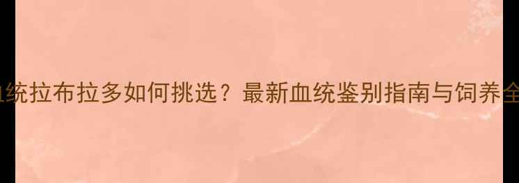 图片 赛级血统拉布拉多如何挑选？最新血统鉴别指南与饲养全攻略1