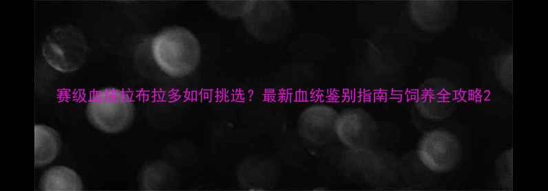 图片 赛级血统拉布拉多如何挑选？最新血统鉴别指南与饲养全攻略2