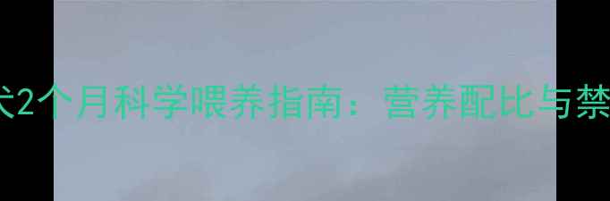 图片 边境牧羊犬2个月科学喂养指南：营养配比与禁忌清单全2