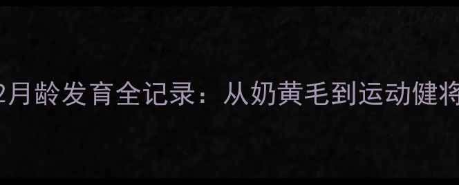图片 边境牧羊犬2月龄发育全记录：从奶黄毛到运动健将的养护指南
