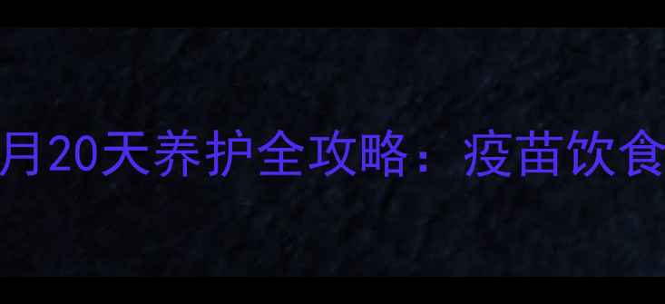 图片 边境牧羊犬3个月20天养护全攻略：疫苗饮食训练常见问题2