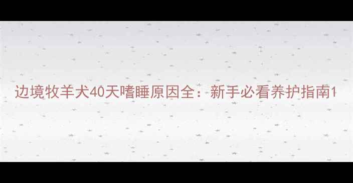 图片 边境牧羊犬40天嗜睡原因全：新手必看养护指南1