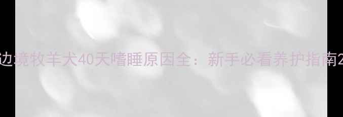 图片 边境牧羊犬40天嗜睡原因全：新手必看养护指南2