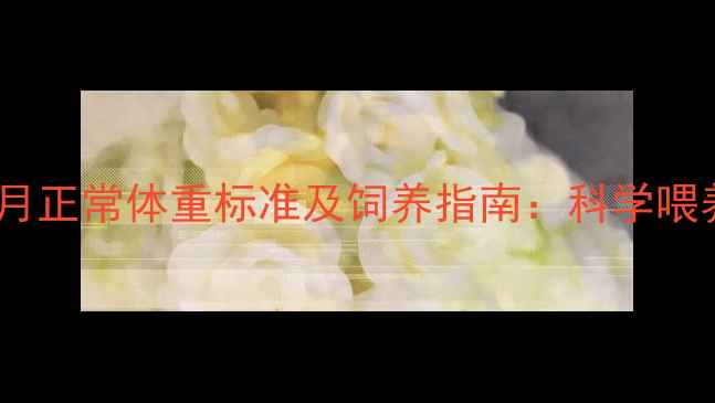 图片 边境牧羊犬5个月正常体重标准及饲养指南：科学喂养与疾病预防全