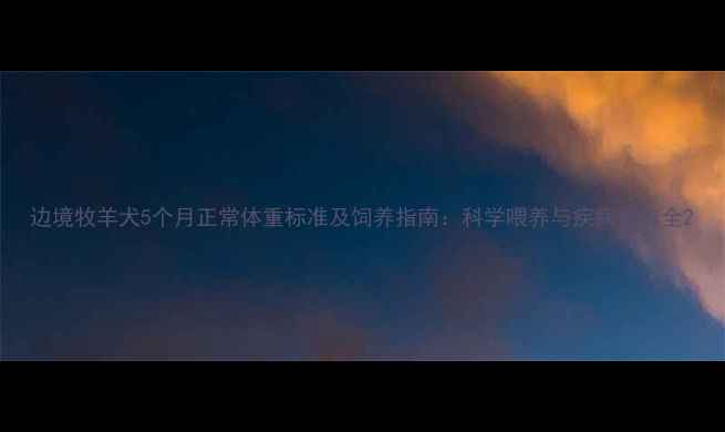 图片 边境牧羊犬5个月正常体重标准及饲养指南：科学喂养与疾病预防全2