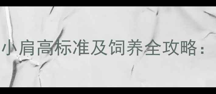图片 边境牧羊犬6个月大小肩高标准及饲养全攻略：科学养宠必读指南2