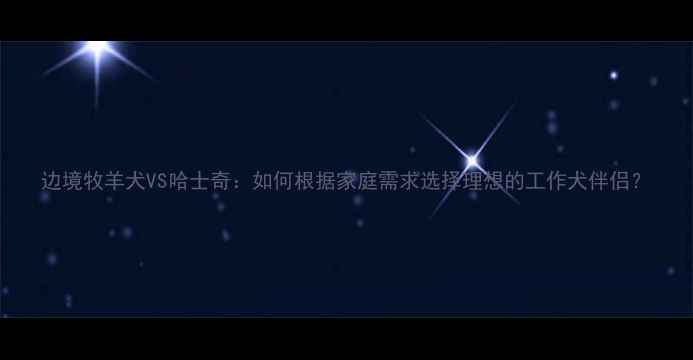 图片 边境牧羊犬VS哈士奇：如何根据家庭需求选择理想的工作犬伴侣？