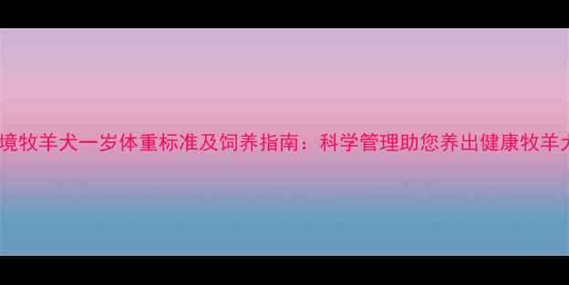 图片 边境牧羊犬一岁体重标准及饲养指南：科学管理助您养出健康牧羊犬1