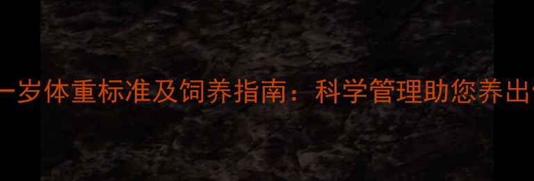 图片 边境牧羊犬一岁体重标准及饲养指南：科学管理助您养出健康牧羊犬2