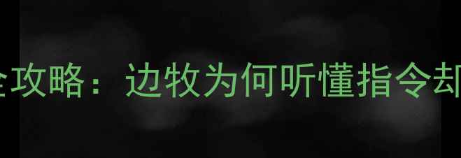 图片 边境牧羊犬乱吠训练全攻略：边牧为何听懂指令却反复吠叫及纠正方法1