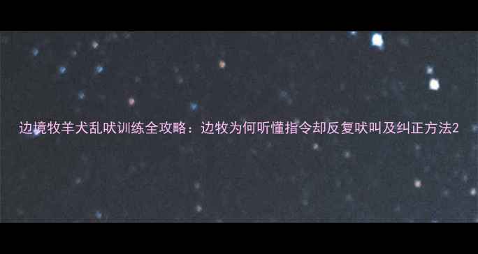 图片 边境牧羊犬乱吠训练全攻略：边牧为何听懂指令却反复吠叫及纠正方法2