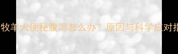 图片 边境牧羊犬便秘腹泻怎么办？原因与科学应对指南1