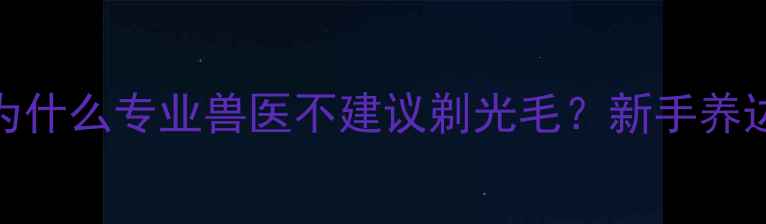 图片 边境牧羊犬剃毛禁忌：为什么专业兽医不建议剃光毛？新手养边牧必看的毛发护理指南