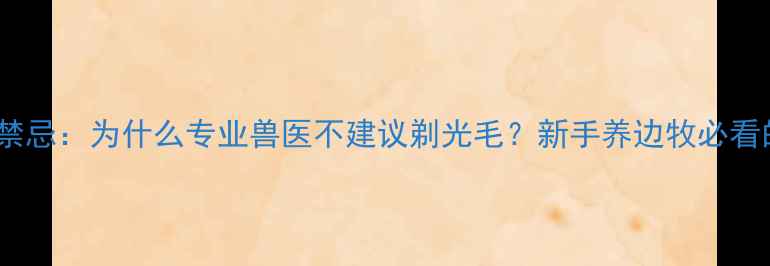 图片 边境牧羊犬剃毛禁忌：为什么专业兽医不建议剃光毛？新手养边牧必看的毛发护理指南2