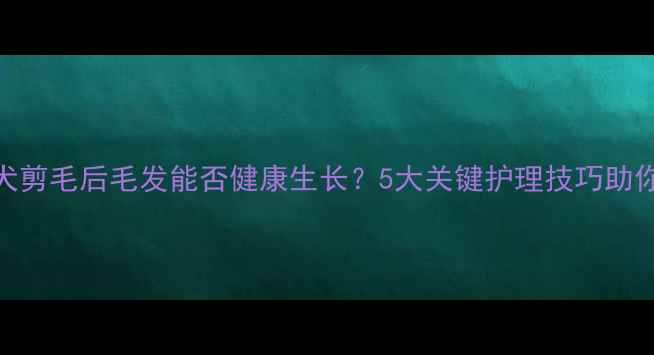 图片 边境牧羊犬剪毛后毛发能否健康生长？5大关键护理技巧助你轻松应对