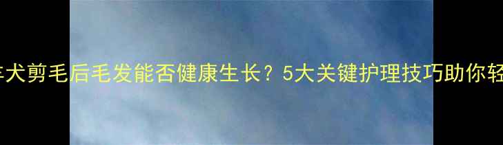 图片 边境牧羊犬剪毛后毛发能否健康生长？5大关键护理技巧助你轻松应对2