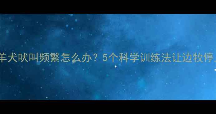 图片 边境牧羊犬吠叫频繁怎么办？5个科学训练法让边牧停止乱叫2