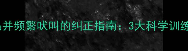 图片 边境牧羊犬咬物品并频繁吠叫的纠正指南：3大科学训练法+日常养护要点