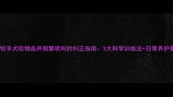 图片 边境牧羊犬咬物品并频繁吠叫的纠正指南：3大科学训练法+日常养护要点1