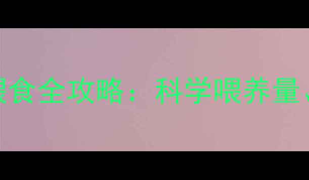 图片 边境牧羊犬四个月大喂食全攻略：科学喂养量、营养搭配与常见误区