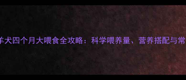 图片 边境牧羊犬四个月大喂食全攻略：科学喂养量、营养搭配与常见误区2