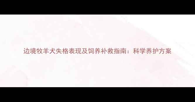 图片 边境牧羊犬失格表现及饲养补救指南：科学养护方案