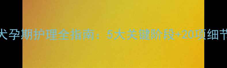 图片 边境牧羊犬孕期护理全指南：5大关键阶段+20项细节注意事项