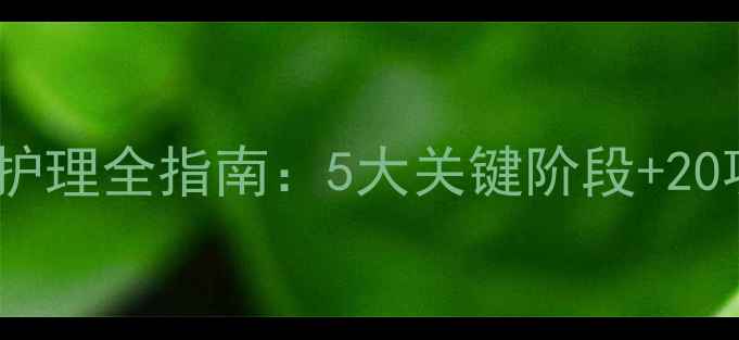 图片 边境牧羊犬孕期护理全指南：5大关键阶段+20项细节注意事项1